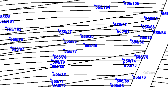 Parcela st. 555/19 v KÚ Archlebov, Katastrální mapa