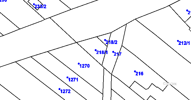 Parcela st. 218/1 v KÚ Babice u Rosic, Katastrální mapa