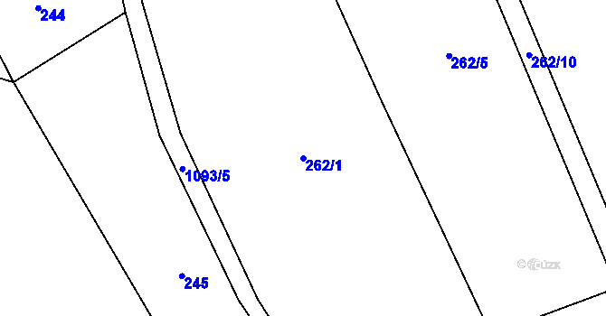 Parcela st. 262/1 v KÚ Bačetín, Katastrální mapa