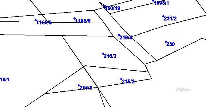 Parcela st. 216/3 v KÚ Bačetín, Katastrální mapa