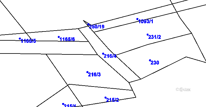 Parcela st. 216/4 v KÚ Bačetín, Katastrální mapa