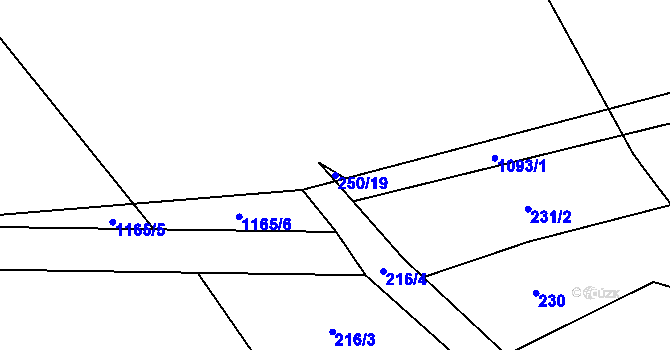 Parcela st. 250/19 v KÚ Bačetín, Katastrální mapa