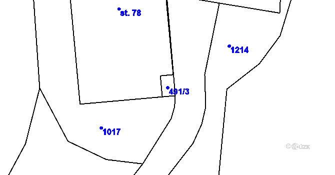 Parcela st. 491/3 v KÚ Bačkov, Katastrální mapa