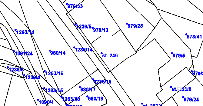 Parcela st. 246 v KÚ Bakov nad Jizerou, Katastrální mapa