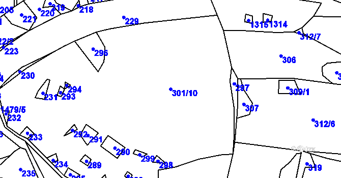Parcela st. 301/10 v KÚ Baliny, Katastrální mapa