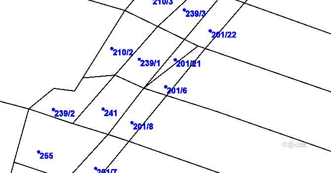 Parcela st. 201/6 v KÚ Radlice u Barchovic, Katastrální mapa