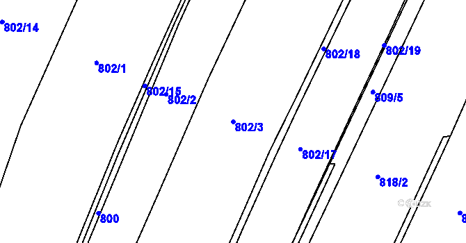 Parcela st. 802/3 v KÚ Radlice u Barchovic, Katastrální mapa