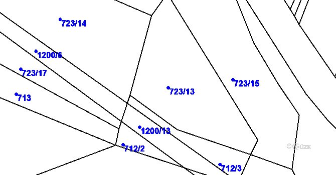 Parcela st. 723/13 v KÚ Radlice u Barchovic, Katastrální mapa