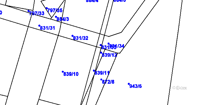 Parcela st. 839/12 v KÚ Radlice u Barchovic, Katastrální mapa