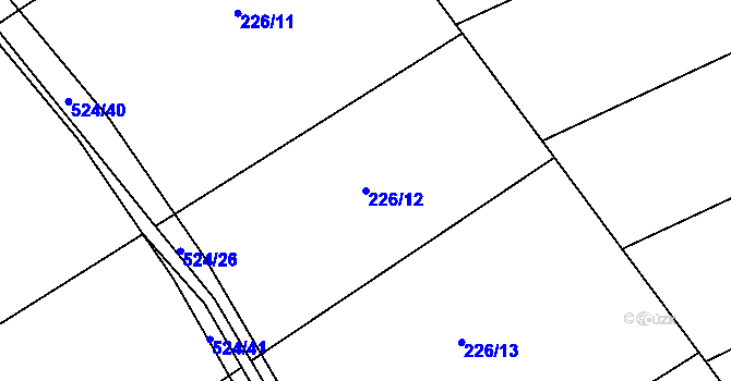 Parcela st. 226/12 v KÚ Bašnice, Katastrální mapa