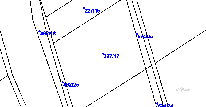 Parcela st. 227/17 v KÚ Bašnice, Katastrální mapa
