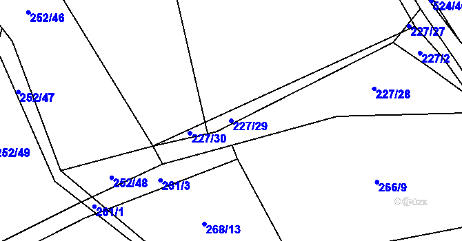 Parcela st. 227/29 v KÚ Bašnice, Katastrální mapa