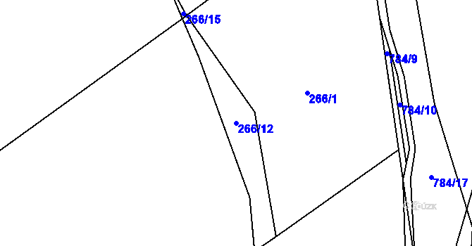 Parcela st. 266/12 v KÚ Bašnice, Katastrální mapa