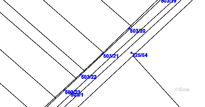 Parcela st. 503/21 v KÚ Bašnice, Katastrální mapa