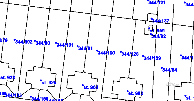 Parcela st. 344/100 v KÚ Bašť, Katastrální mapa