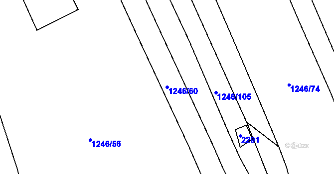 Parcela st. 1246/60 v KÚ Batelov, Katastrální mapa