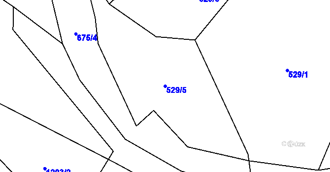 Parcela st. 529/5 v KÚ Dubová Lhota, Katastrální mapa