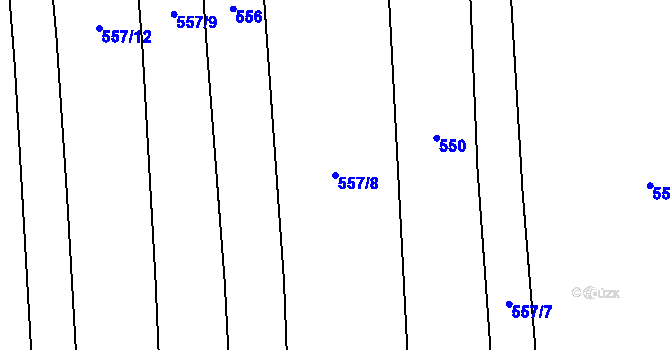 Parcela st. 557/8 v KÚ Senožaty u Bechyně, Katastrální mapa