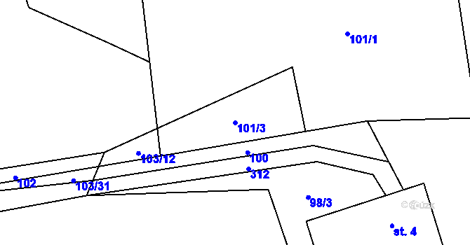 Parcela st. 101/3 v KÚ Bělá u Horní Cerekve, Katastrální mapa