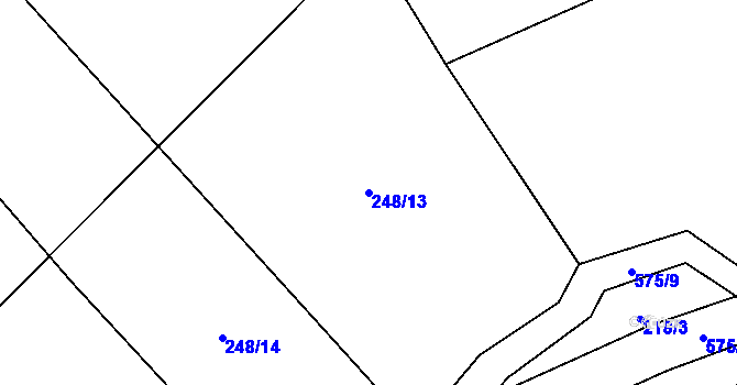 Parcela st. 248/13 v KÚ Bělá u Pecky, Katastrální mapa