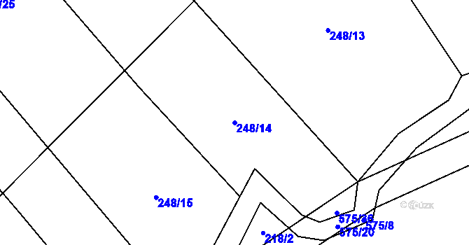 Parcela st. 248/14 v KÚ Bělá u Pecky, Katastrální mapa