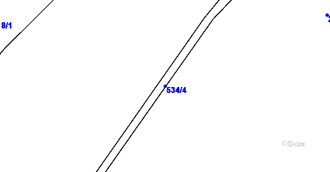 Parcela st. 534/4 v KÚ Bělá u Pecky, Katastrální mapa