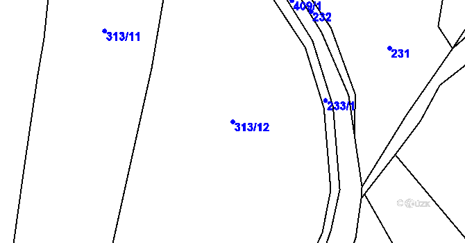 Parcela st. 313/12 v KÚ Radkyně, Katastrální mapa