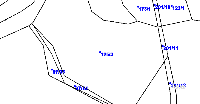 Parcela st. 125/3 v KÚ Běleč nad Orlicí, Katastrální mapa