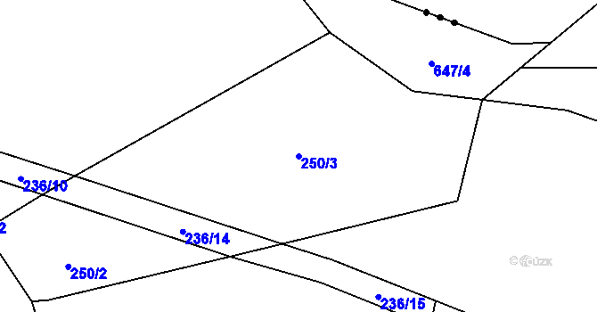 Parcela st. 250/3 v KÚ Běleč nad Orlicí, Katastrální mapa