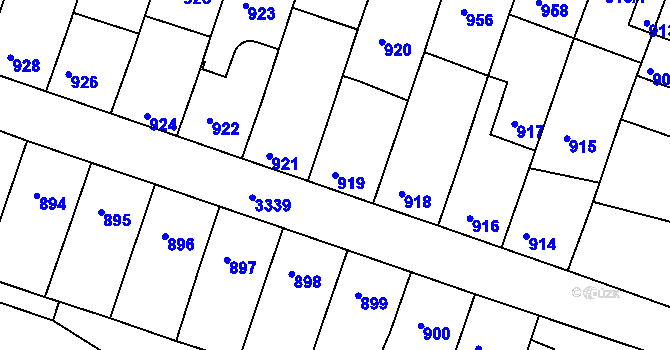 Parcela st. 919 v KÚ Benešov u Prahy, Katastrální mapa