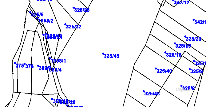 Parcela st. 325/45 v KÚ Benešov u Boskovic, Katastrální mapa