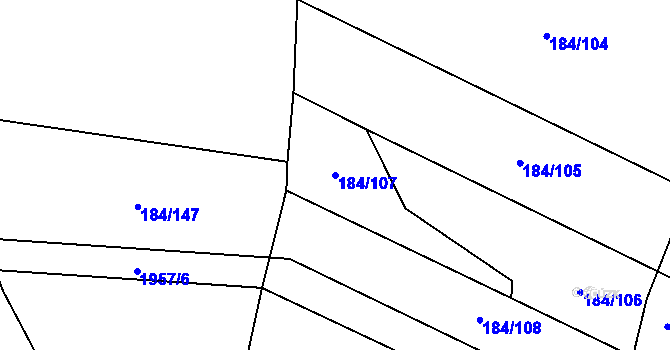 Parcela st. 184/107 v KÚ Benešov u Boskovic, Katastrální mapa