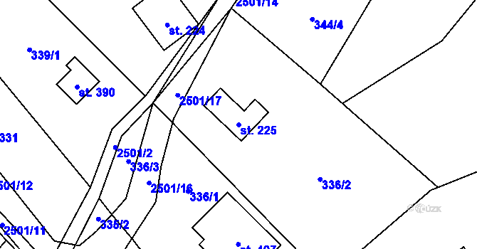 Parcela st. 225 v KÚ Benešov u Semil, Katastrální mapa