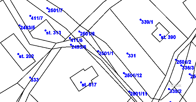 Parcela st. 2501/1 v KÚ Benešov u Semil, Katastrální mapa