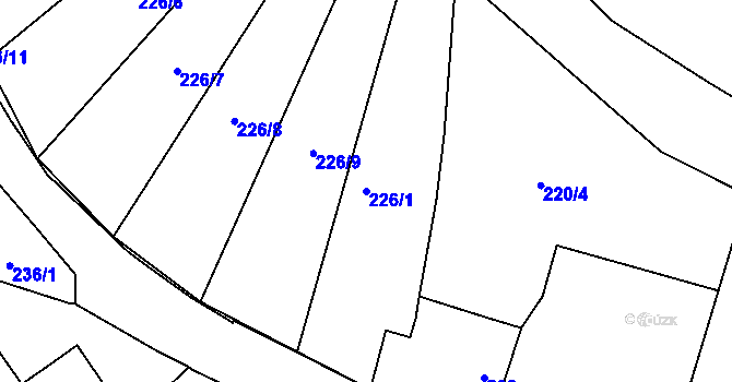 Parcela st. 226/1 v KÚ Benice, Katastrální mapa