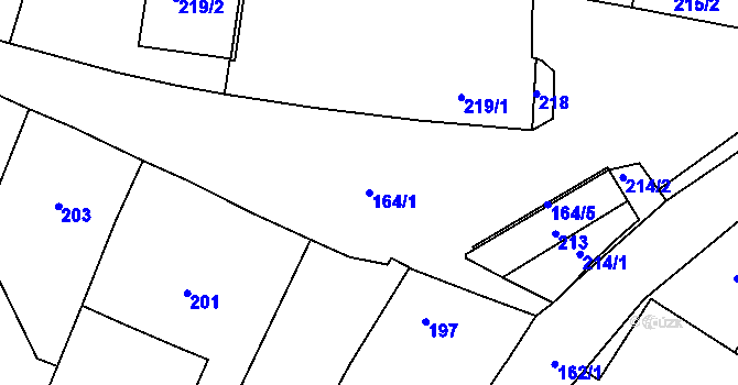 Parcela st. 164/1 v KÚ Benice, Katastrální mapa