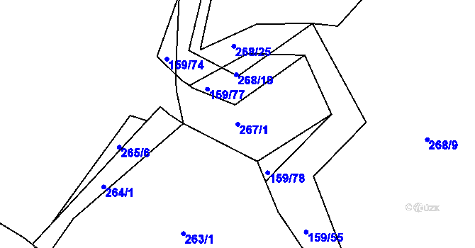 Parcela st. 267/1 v KÚ Benice, Katastrální mapa