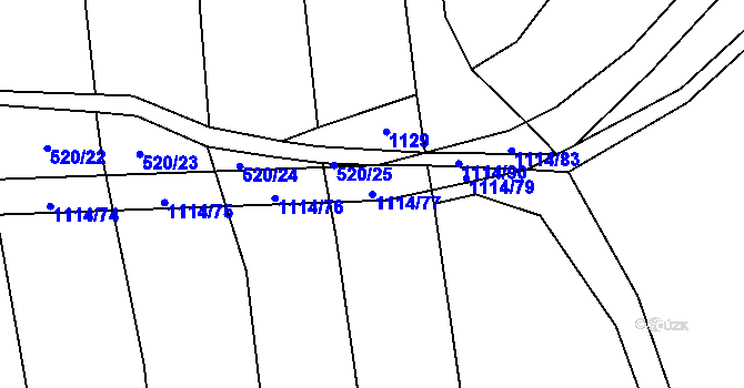 Parcela st. 1114/77 v KÚ Bojenice, Katastrální mapa