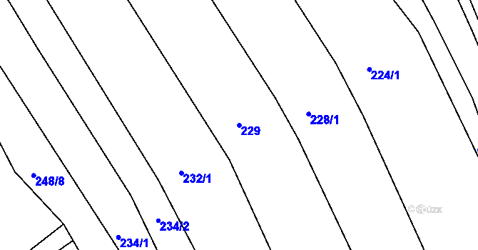 Parcela st. 229 v KÚ Besednice, Katastrální mapa