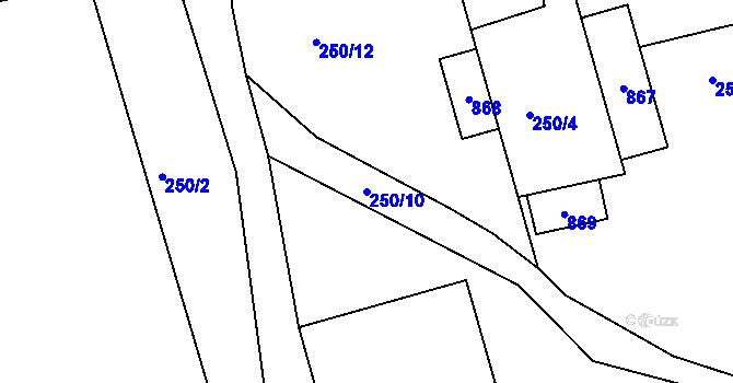 Parcela st. 250/10 v KÚ Běstovice, Katastrální mapa