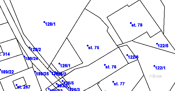 Parcela st. 75 v KÚ Běstvina, Katastrální mapa