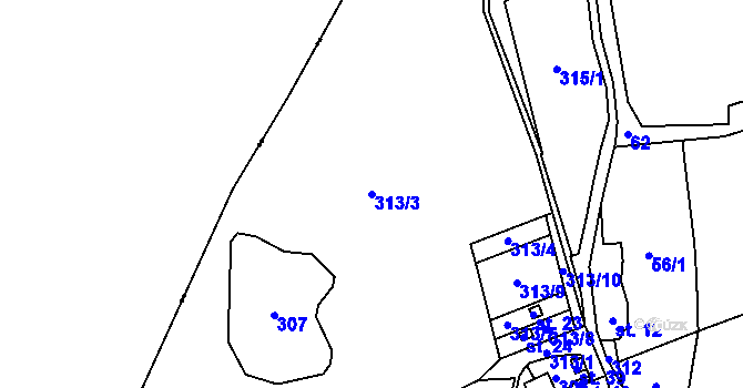 Parcela st. 313/3 v KÚ Rajské, Katastrální mapa