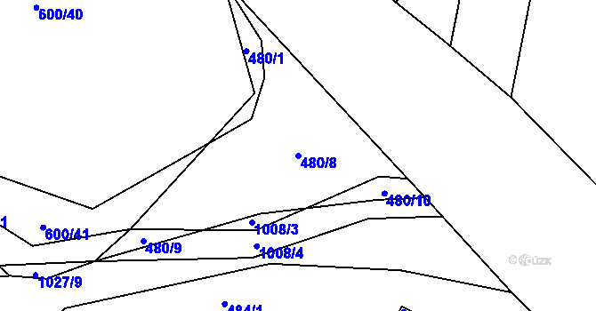 Parcela st. 480/8 v KÚ Koryta u Bezděkova, Katastrální mapa