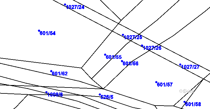 Parcela st. 601/55 v KÚ Koryta u Bezděkova, Katastrální mapa
