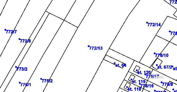 Parcela st. 772/13 v KÚ Koryta u Bezděkova, Katastrální mapa
