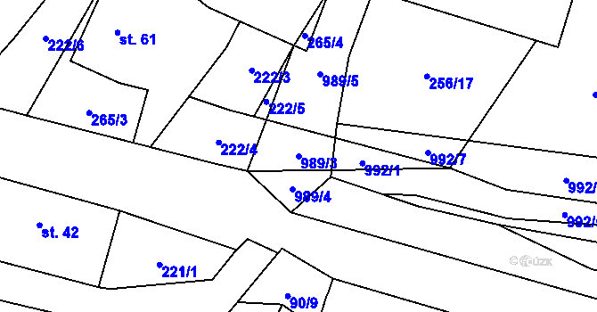 Parcela st. 989/3 v KÚ Koryta u Bezděkova, Katastrální mapa