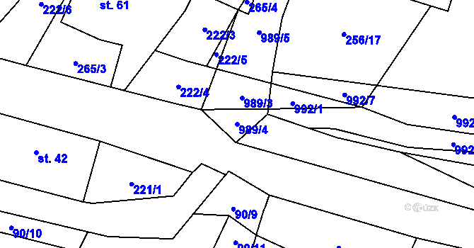 Parcela st. 989/4 v KÚ Koryta u Bezděkova, Katastrální mapa