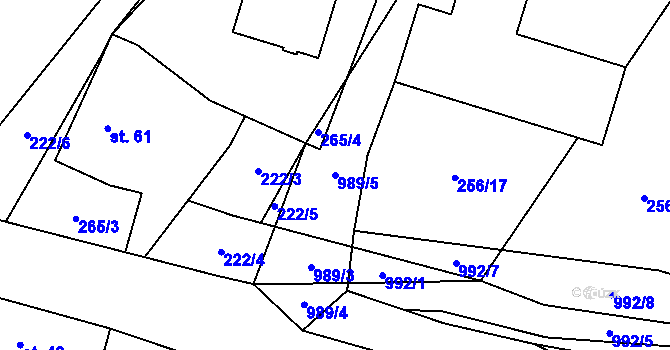 Parcela st. 989/5 v KÚ Koryta u Bezděkova, Katastrální mapa