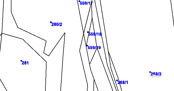 Parcela st. 559/19 v KÚ Vševily, Katastrální mapa