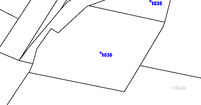 Parcela st. 1036 v KÚ Bezno, Katastrální mapa